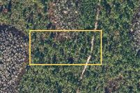 Land for sale in Orange County, Florida