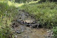 Land for sale in Pocahontas County, West Virginia