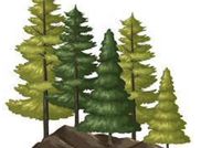 Recreational Property for sale in Oxford County, Maine