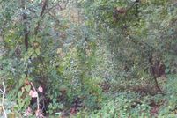 Land for sale in Marion County, Florida