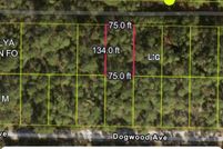 Land for sale in Putnam County, Florida