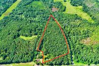 Undeveloped Land for sale in Barbour County, Alabama