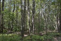 Land for sale in Knox County, Maine