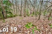 Land for sale in Patrick County, Virginia