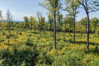 Undeveloped Land for sale in Chittenden County, Vermont