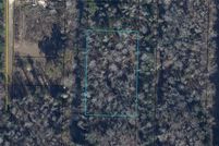 Undeveloped Land for sale in Calhoun County, Florida