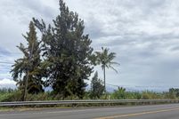 Timberland Property for sale in Hawaii County, Hawaii