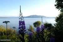 Undeveloped Land for sale in Lake and Peninsula Borough, Alaska