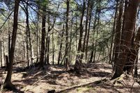 Undeveloped Land for sale in Berkshire County, Massachusetts