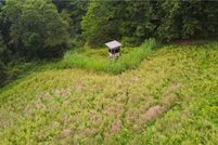 Land for sale in Coshocton County, Ohio