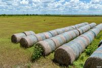Land for sale in San Patricio County, Texas