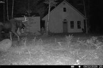 Land for sale in Washington County, Maine