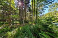 Undeveloped Land for sale in Hancock County, Maine