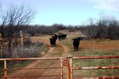 Recreational Property in Clay County, Texas