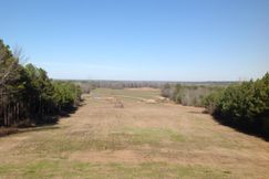 Farm and Ranch in Dallas County, Alabama