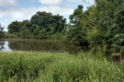 Farm and Ranch in Anderson County, Texas