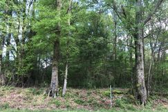 Timberland Property in Rankin County, Mississippi