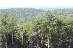 Farm and Ranch in Chattooga County, Georgia