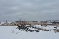 Farm and Ranch in Adair County, Iowa