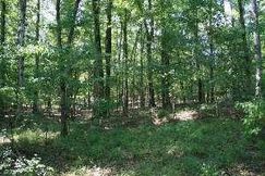 Farm and Ranch in Rankin County, Mississippi