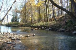 Timberland Property in Colbert County, Alabama