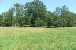 Farm and Ranch in Fayette County, Alabama