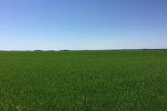 Farm and Ranch in Woodruff County, Arkansas
