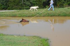 Farm and Ranch in Carter County, Oklahoma