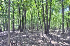 Land in Montgomery County, Virginia