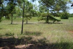 Farm and Ranch in Anderson County, Texas