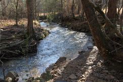 Farm and Ranch in Cullman County, Alabama