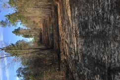 Farm and Ranch in Harrison County, Mississippi