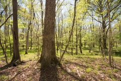 Farm and Ranch in Montgomery County, Alabama