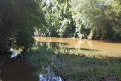 Timberland Property in Cleburne County, Alabama