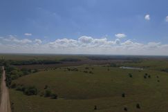 Timberland Property in Chase County, Kansas
