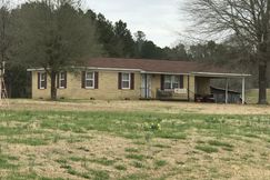 Timberland Property in Lamar County, Alabama