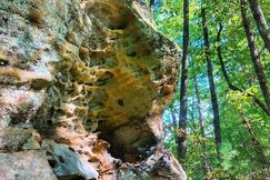Farm and Ranch in Powell County, Kentucky