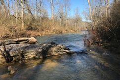 Farm and Ranch in Blount County, Alabama