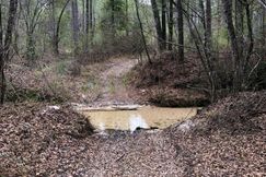 Farm and Ranch in Covington County, Alabama