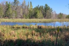 Hunting Property in Burnett County, Wisconsin