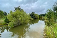 Land in Orangeburg County, South Carolina