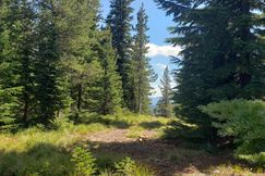 Timberland Property in Mineral County, Montana