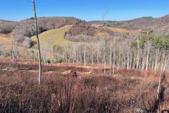 Timberland Property in Alleghany County, North Carolina
