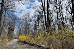 Recreational Property in Barnstable County, Massachusetts