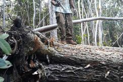 Recreational Property in Hawaii County, Hawaii