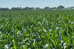 Farm and Ranch for sale in Polk County, Nebraska