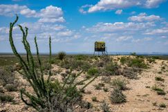 Land for sale in Pecos County, Texas