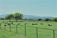 Recreational Property in Socorro County, New Mexico