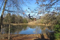 Timberland Property in Atoka County, Oklahoma