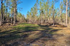 Farm and Ranch in Conecuh County, Alabama